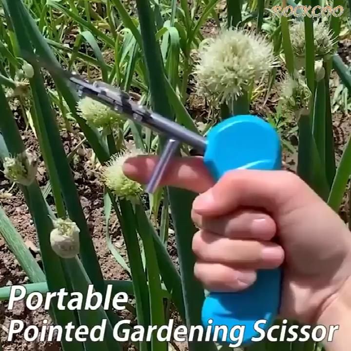 Portable Pointed Gardening Scissor - Laric