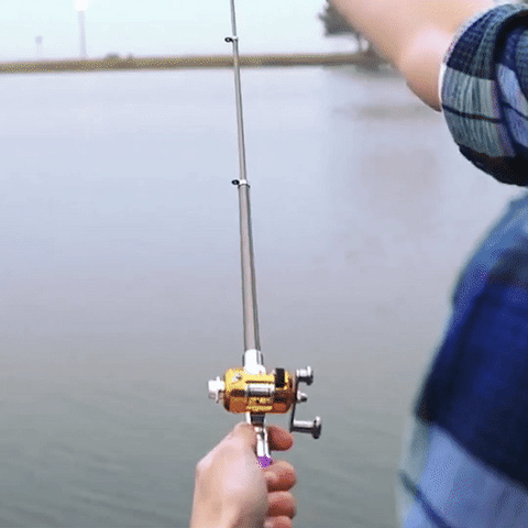 Pen Fishing Rod - Laric