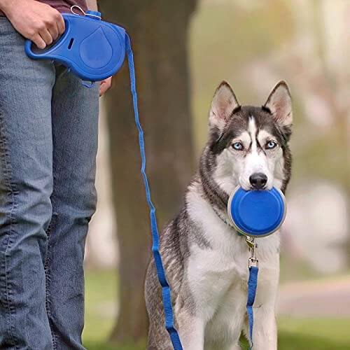 Dog Leash with Water Container - Laric